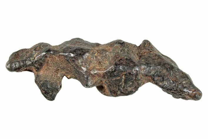 Sericho Pallasite Meteorite ( g) Metal Skeleton #267027